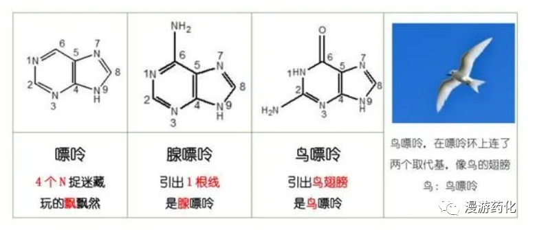 看到就是赚到！化学结构图谱全解！太好记了